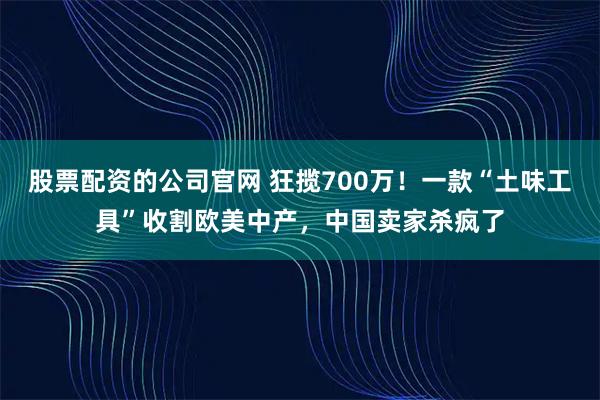股票配资的公司官网 狂揽700万！一款“土味工具”收割欧美中产，中国卖家杀疯了